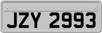 JZY2993