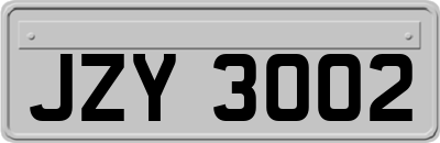 JZY3002