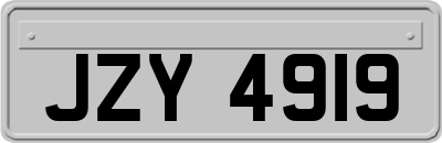 JZY4919