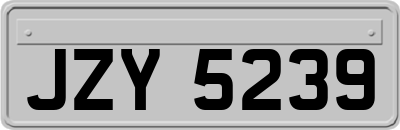 JZY5239