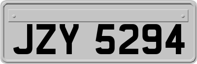 JZY5294