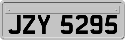 JZY5295