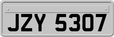 JZY5307