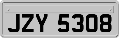 JZY5308