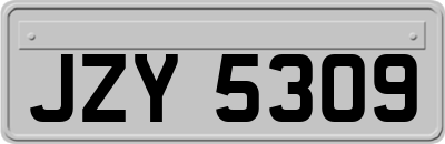 JZY5309