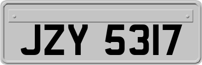 JZY5317