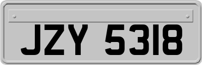 JZY5318