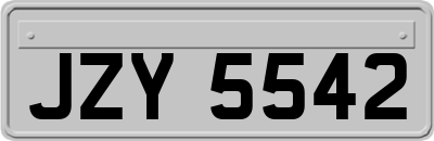 JZY5542