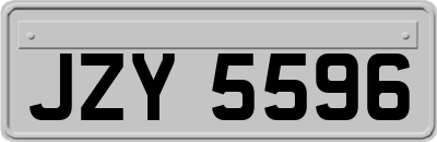 JZY5596