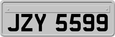 JZY5599