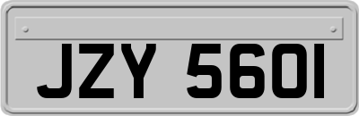 JZY5601