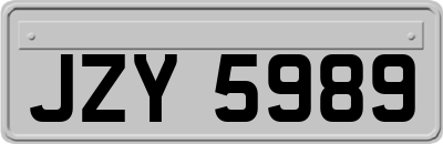 JZY5989