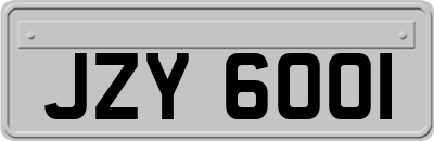 JZY6001