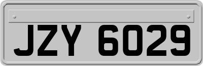 JZY6029