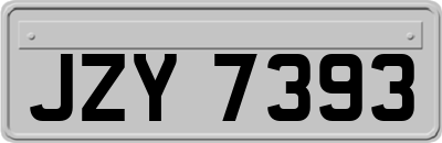 JZY7393