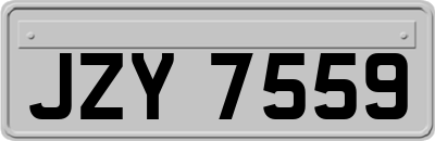 JZY7559