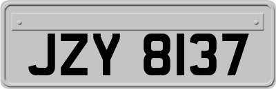 JZY8137