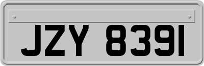 JZY8391