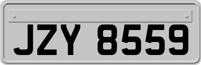 JZY8559