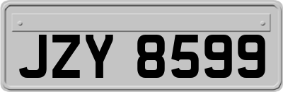 JZY8599