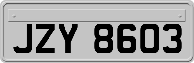 JZY8603