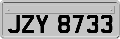 JZY8733