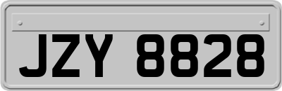 JZY8828