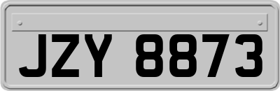 JZY8873