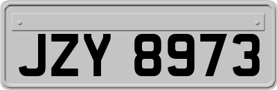 JZY8973