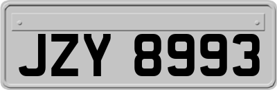 JZY8993
