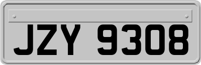 JZY9308