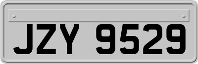 JZY9529