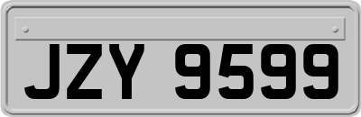 JZY9599