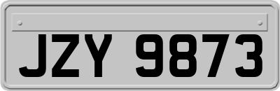 JZY9873