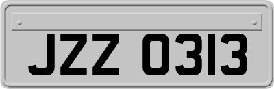 JZZ0313