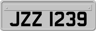JZZ1239