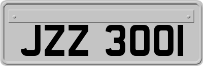 JZZ3001
