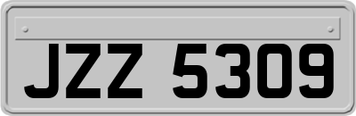 JZZ5309