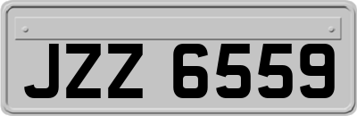 JZZ6559