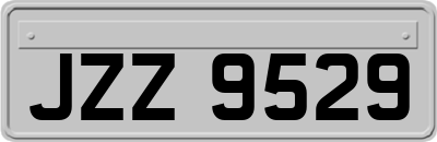 JZZ9529