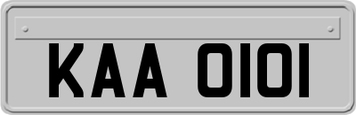 KAA0101