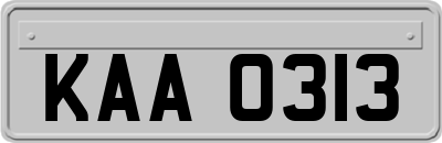KAA0313
