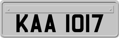 KAA1017
