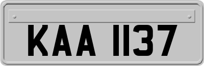 KAA1137