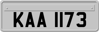 KAA1173