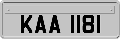KAA1181