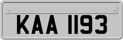 KAA1193