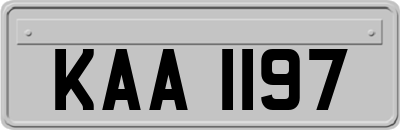 KAA1197