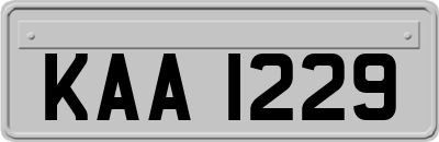 KAA1229