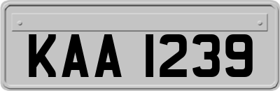 KAA1239